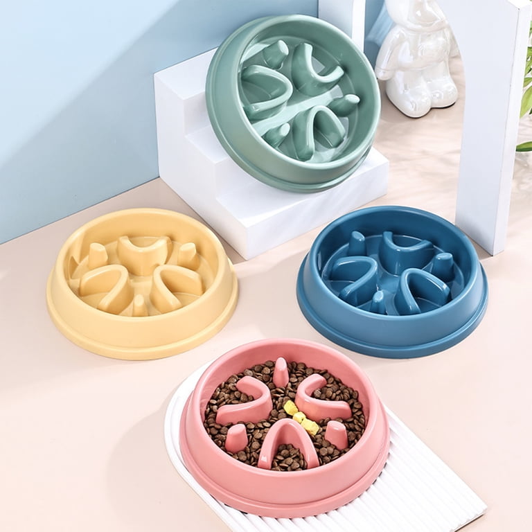 Anti-Gulping Slow Feeder Bowl for Dogs & Cats