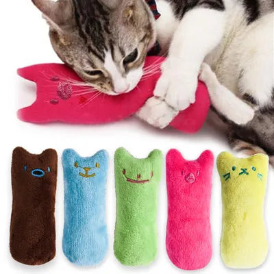 TOOTH GRINDING PET TOY