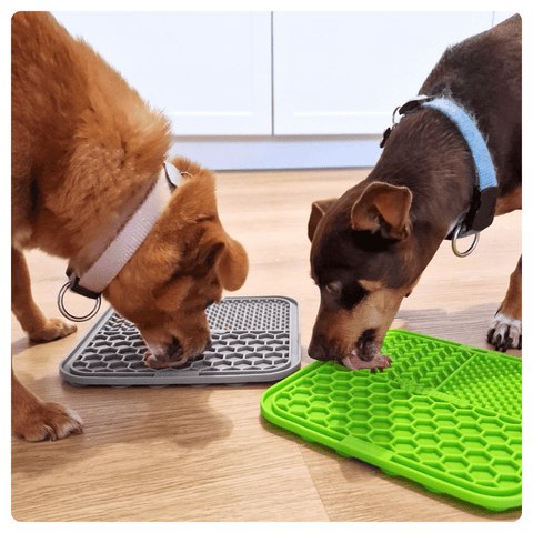 Silicone Enrichment Lick Mat for Dogs & Cats