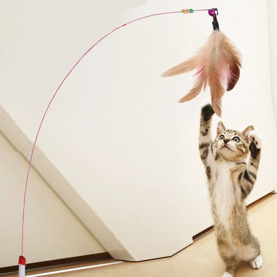 CAT  TOY STICK FEATHER WAND