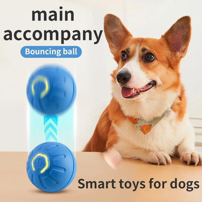 SMART DOG TOY ELECTRONIC INTTERACTIVE