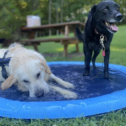 DOG INTERACTIVE FOUNTAIN