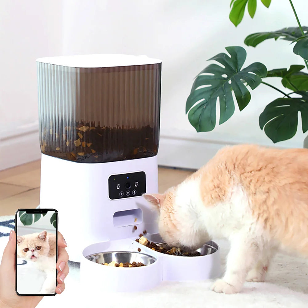 CAT FOOD DISPENSER