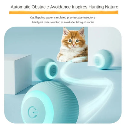 AUTOMATIC MOVING CAT TOY