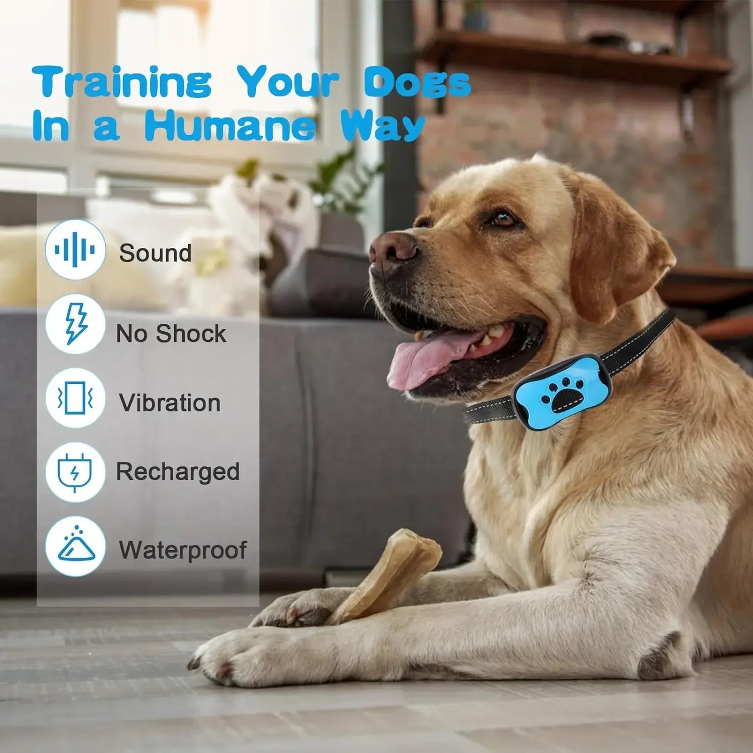 ANTI BARKING PET DEVICE