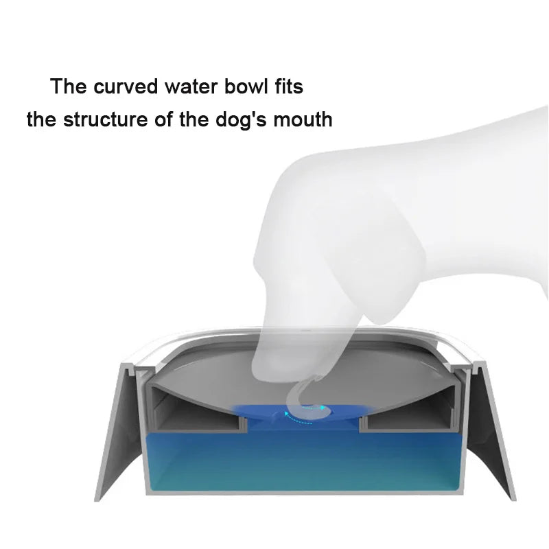 DOG WATER DISPENSER