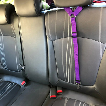 PET CAR SEAT BELT