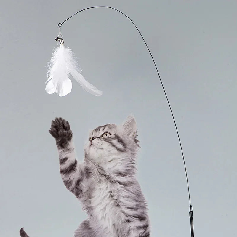 CAT TOYS FEATHER INTTERACTIVE