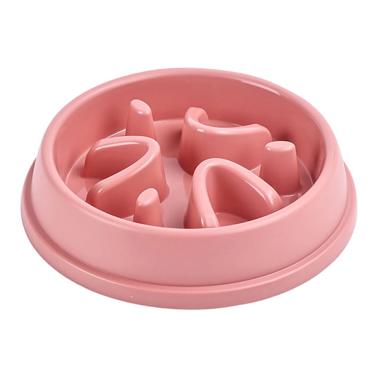 Anti-Gulping Slow Feeder Bowl for Dogs & Cats
