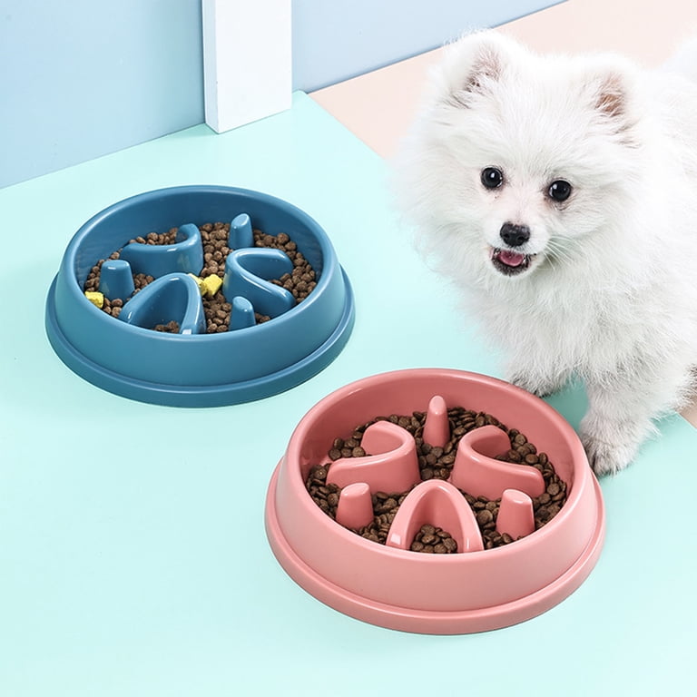 Anti-Gulping Slow Feeder Bowl for Dogs & Cats