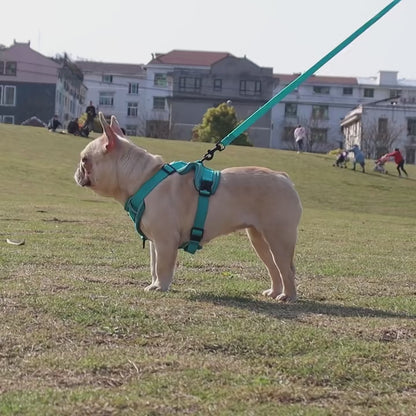 Reflective Adjustable Dog Harness